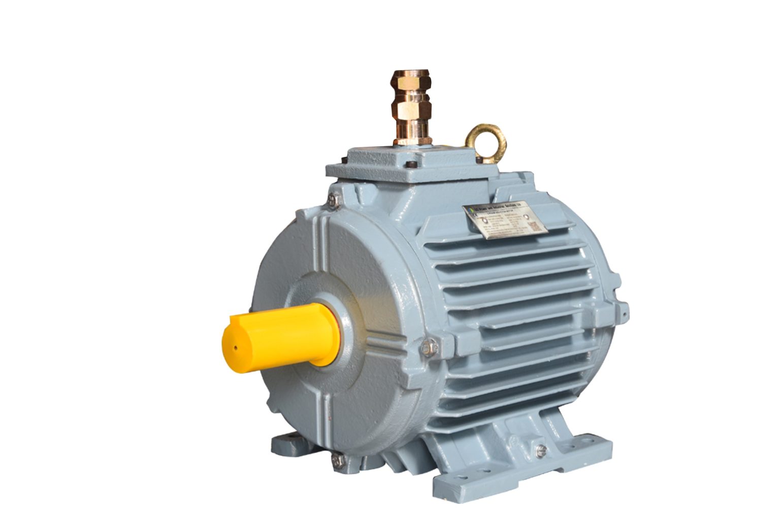 Extraction Motor Energy-efficient motors - Energenix Solutions